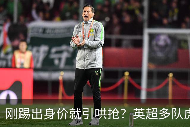 刚踢出身价就引哄抢？英超多队虎视眈眈，阿森纳5200万新援成香饽饽！